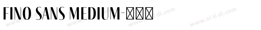 Fino Sans Medium字体转换